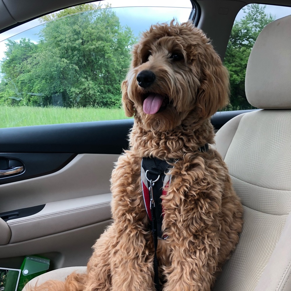 Meet your Posher, Pj